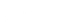 logo Nahange blanc